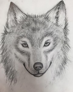 Wolf charcoal